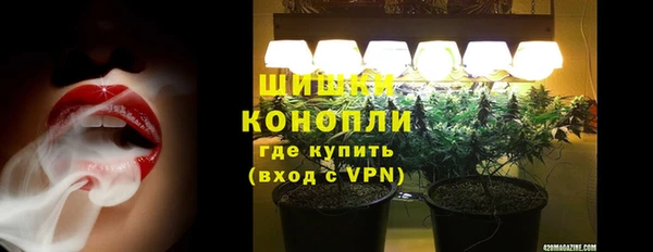 трава Арсеньев